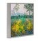 Stupell Industries Complex Meadow Terrain Framed Giclee Wall Art Design by Barbara Schilling